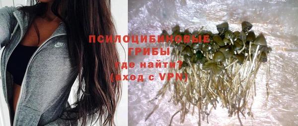 гашиш Белокуриха